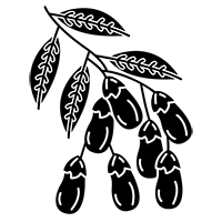 barberries-icon