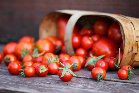 Tomato
