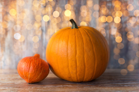 Squash