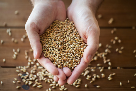Rice and Bran