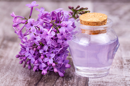 Valeriana Officinalis
