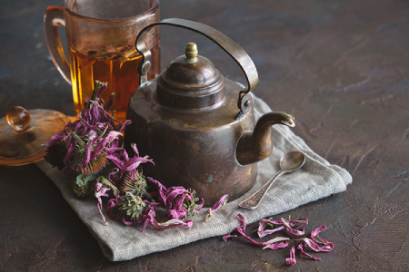 Echinacea (health)