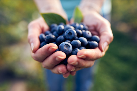 Blueberry